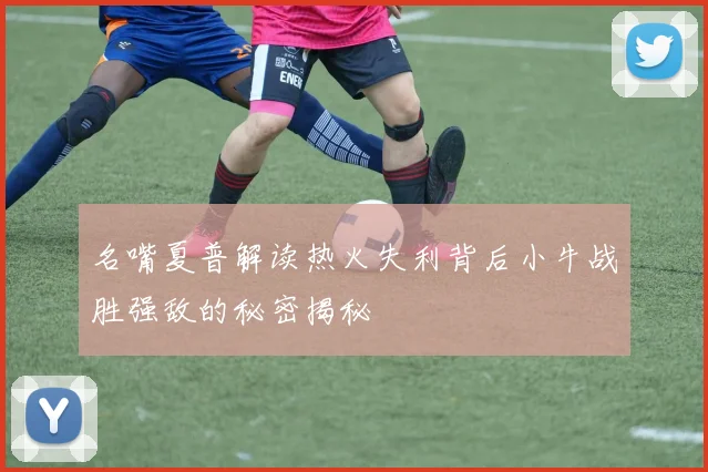 名嘴夏普解读热火失利背后小牛战胜强敌的秘密揭秘
